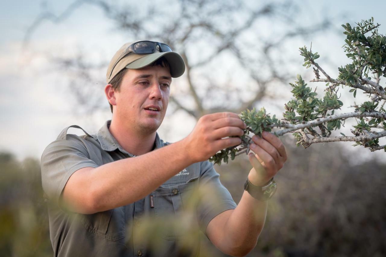 Rukiya Safari Camp Villa Hoedspruit Kültér fotó